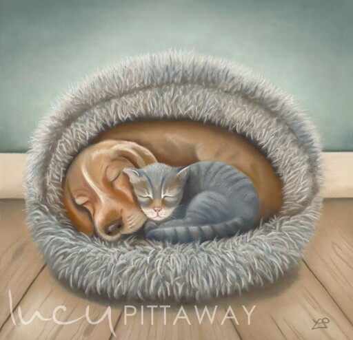 Cuddles!