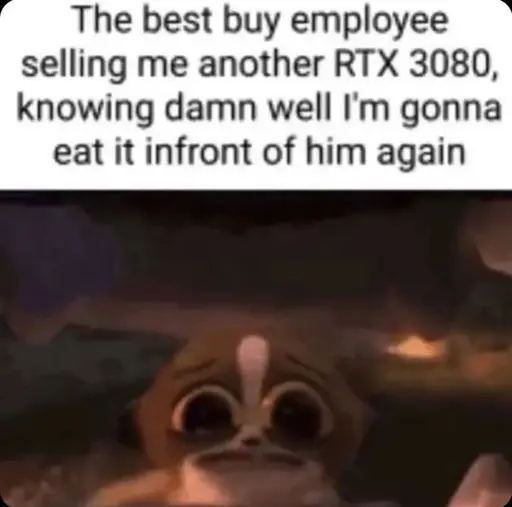 "The best buy employee selling me another RTX 3080, knowing damn well I'm gonna eat it infront of him again". Picture of the lemur Mort from Madagascar