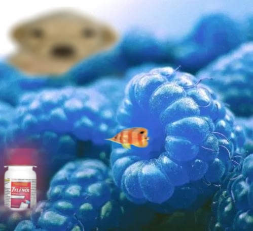 A Jotchua lies in wait behind a field of blue raspberries for Esquito to emerge from his natural habitat to consume False Tylenol