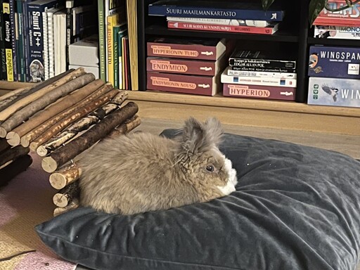 A hairy little loaf.
