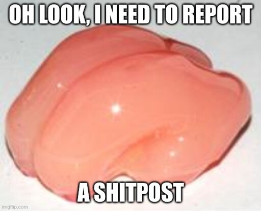 The smooth brain of a person who thinks "Oh look, I need to report a shitpost"